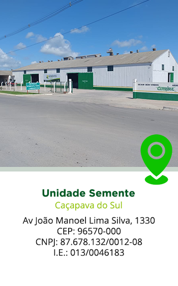 semente
