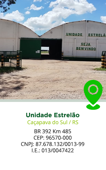 estrelao2
