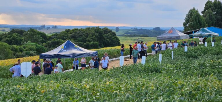Mais de 600 pessoas participaram do Dia de Campo Cotrisul
